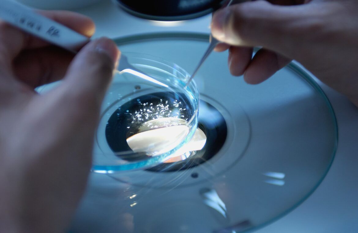 close up image of scientist selecting cells from a petri dish